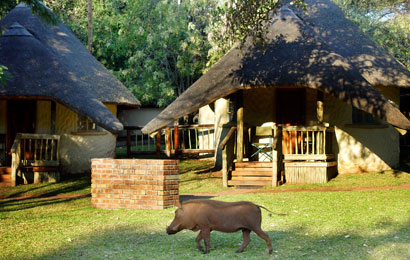 Chobe Safari Lodge - Kasane Botswana