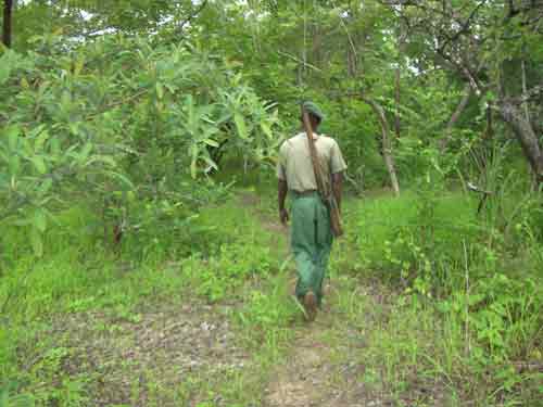 Bua River Lodge - Nkhotokota Malawi