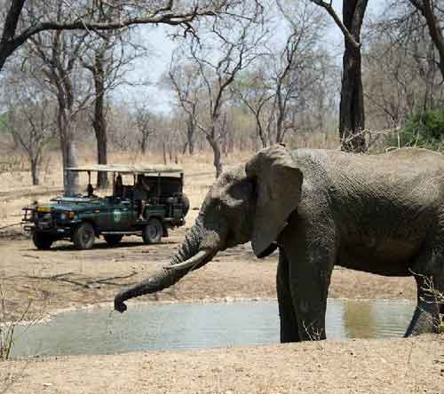 Thawale Lodge - Majete Malawi