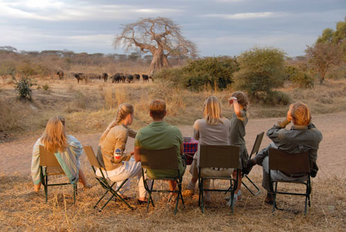 Jongomero Camp - Ruaha Tanzania
