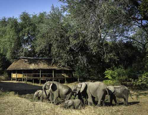 Bilimungwe Bushcamp - South Luangwa Zambia