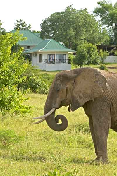 Chichele Lodge - South Luangwa Zambia