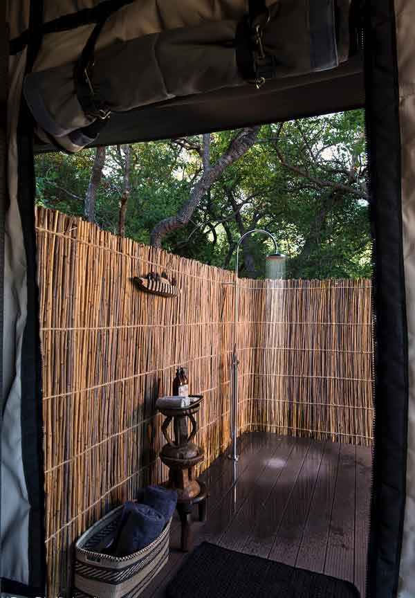 King Lewanika - Liuwa Plain Zambia