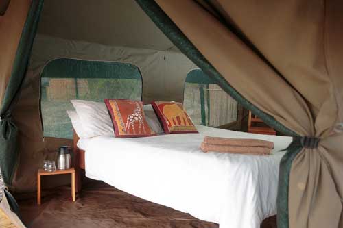 Nkonzi Camp - South Luangwa Zambia