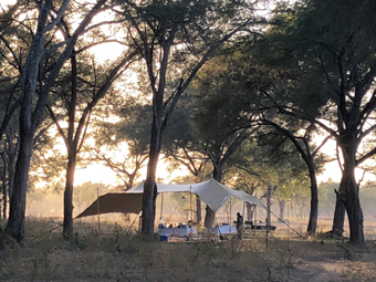 Tusk & Mane Camp  - Lower Zambezi Zambia