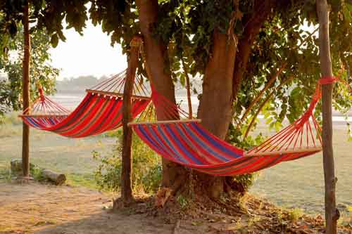 Zikomo Bushcamp - South Luangwa Zambia