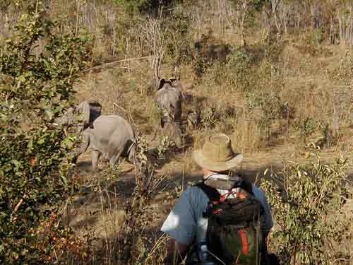 Wandelsafari Leon Varley - Chizarira Zimbabwe