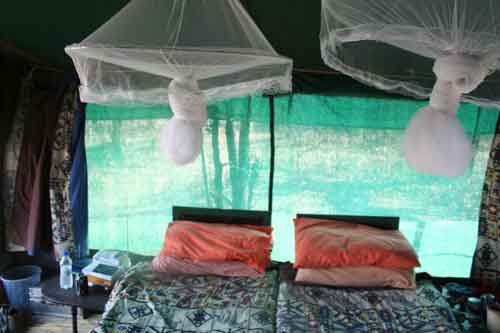 Leon Varley wandelsafari's - Hwange Zimbabwe