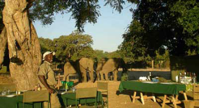 Shoreline Trail - Mana Pools Zimbabwe