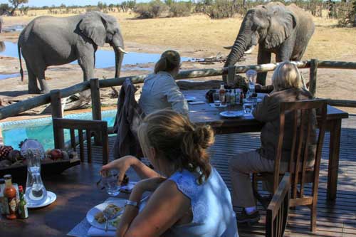 Nehimba Camp - Hwange Zimbabwe