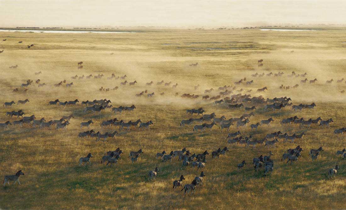 Nxai Pan Magkadigadi Pans Safari Botswana