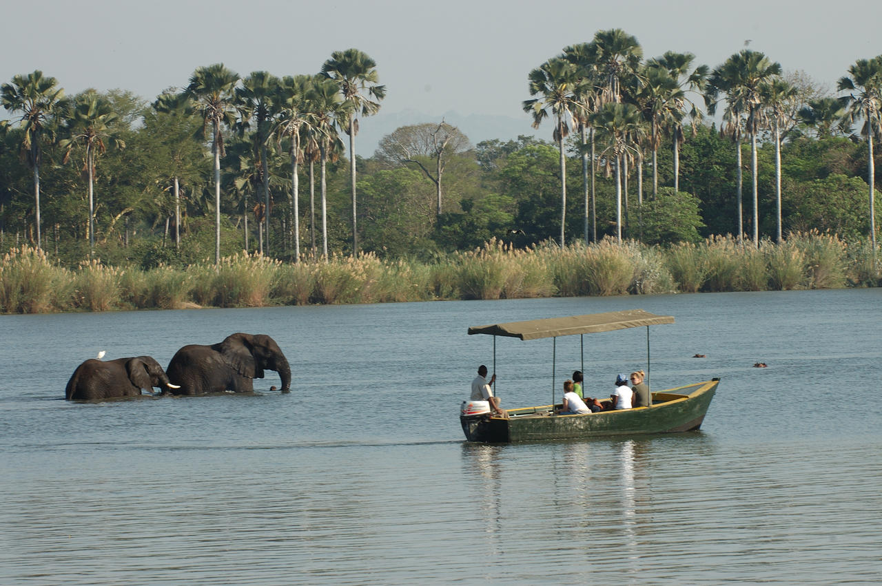 Liwonde National Park in Malawi 