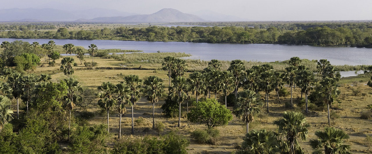 Liwonde National Park