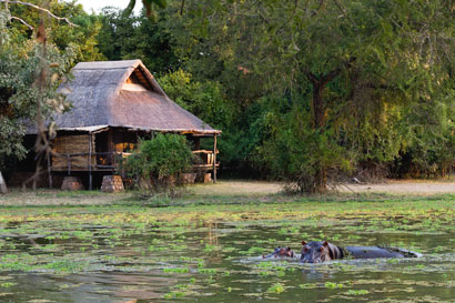 South Luangwa National Park Zambia