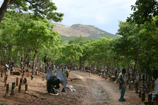 Tengenenge Art Village - beeldhouw workshop Zimbabwe