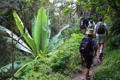 Mount Meru wandeling Tanzania