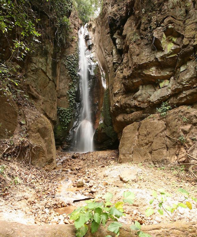 Gombe Stream - Chimpansee Trekking Gombe Stream - Chimpansee Trekking Tanzania