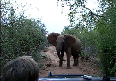 Matusadona National Park Zimbabwe