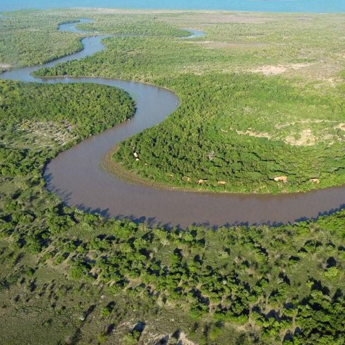 Saadani safari Tanzania