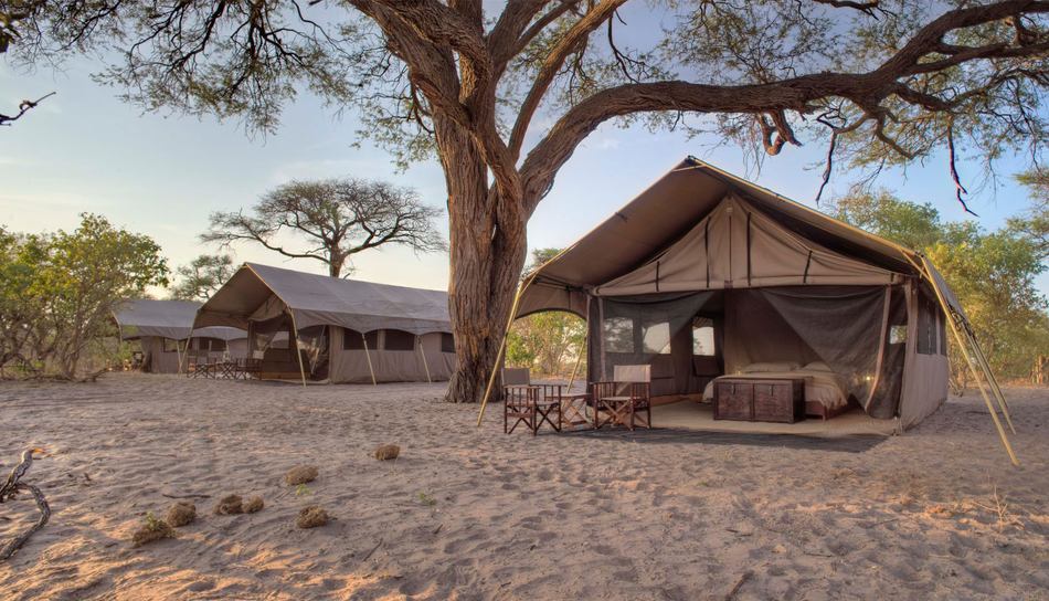 Savuti Under Canvas Savuti regio in Botswana Chobe